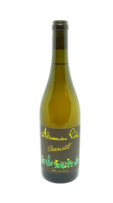Carricat White 2023