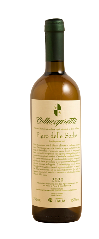 Pigro delle Sorbe 2024